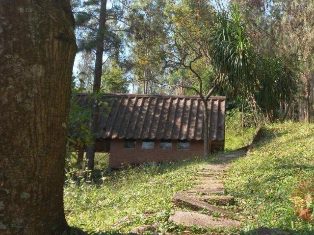 Ponto Comercial venda em Região Imediata de Jundiaí, Campo Limpo Paulista