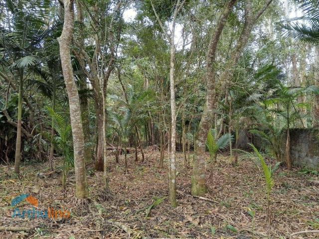Ponto Comercial venda em Itapecerica da Serra
