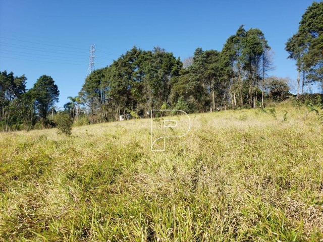 Ponto Comercial venda em Região Imediata de São Paulo, Região Metropolitana de São Paulo