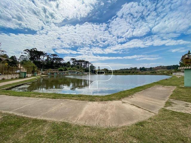 Ponto Comercial venda em Região Imediata de São Paulo, Região Metropolitana de São Paulo