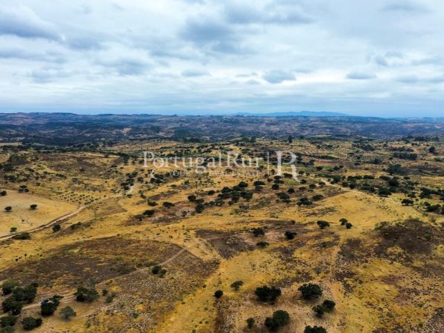 Quinta venda em Castelo Branco, Idanha-a-nova