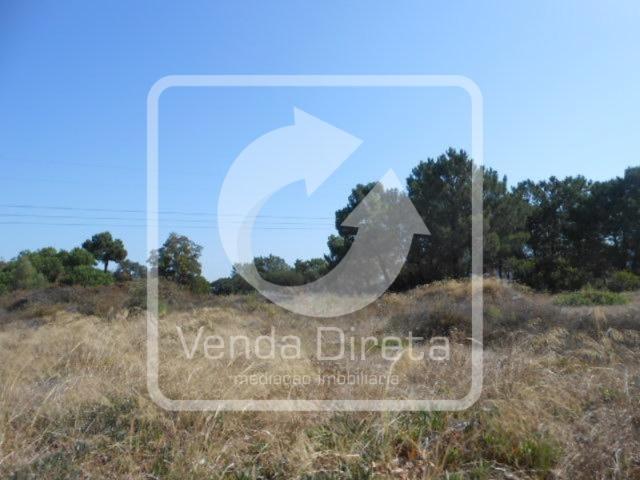 Terreno venda em Vila Chã, Santo António Da Charneca