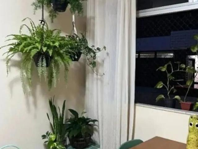 Apartamento aluguel em Recife