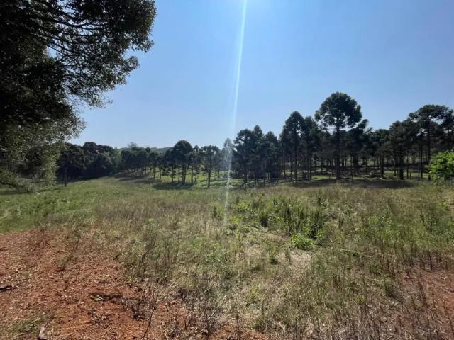 Fazenda venda em Região Geográfica Imediata de Curitiba, Região Metropolitana de Curitiba