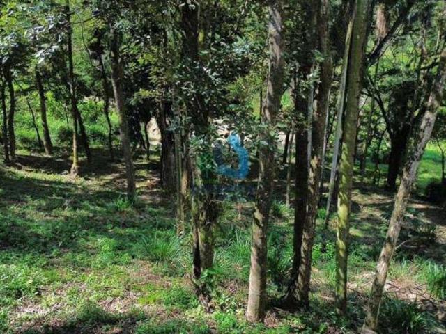 Terreno venda em Benzenex, Mairinque