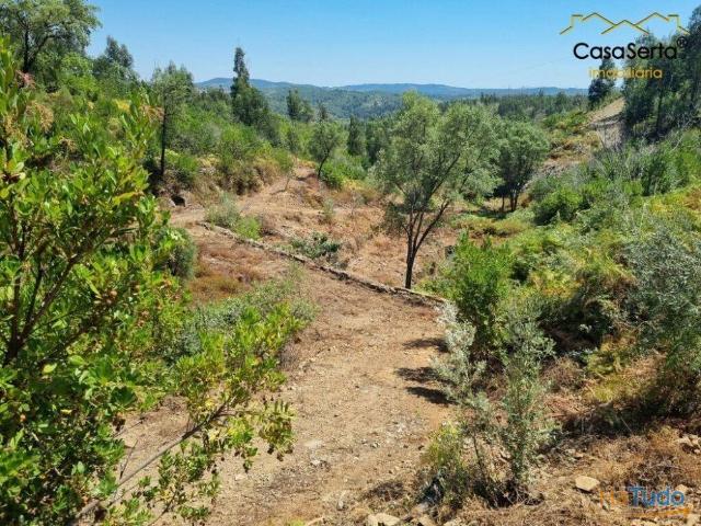 Quinta venda em Castelo Branco, Cumeada