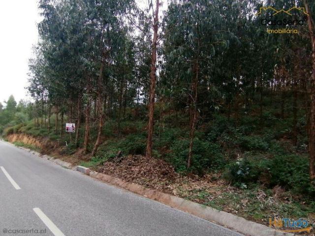 Quinta venda em Castelo Branco, Cumeada