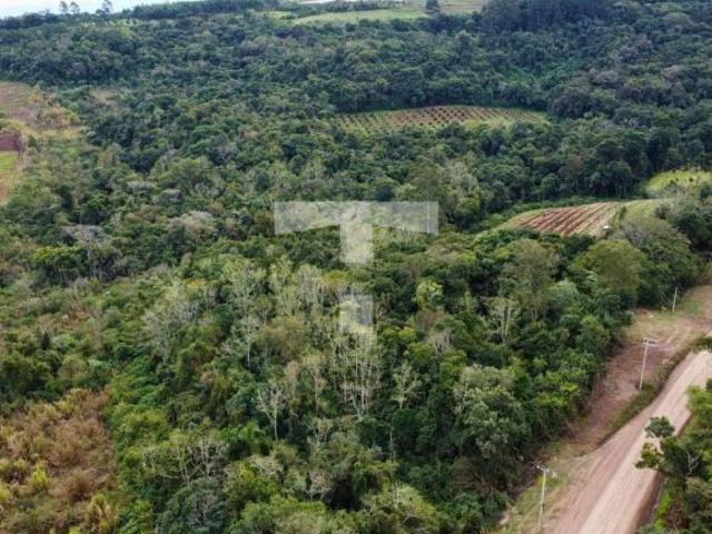 Sítio e chácara venda em Região Geográfica Imediata de Novo Hamburgo - São Leopoldo, São Sebastião do Cai