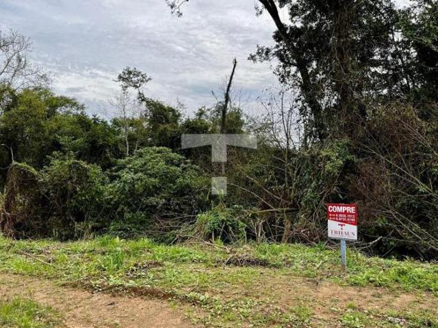 Sítio e chácara venda em Região Geográfica Imediata de Novo Hamburgo - São Leopoldo, São Sebastião do Cai