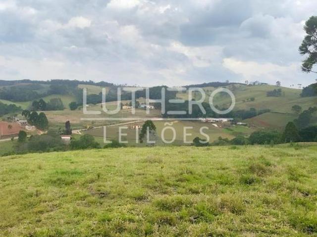 Sítio e chácara venda em Região Imediata de Itapeva, Ribeirão Branco