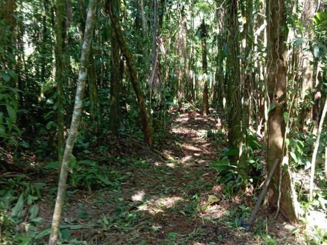 Terreno venda em Rocio, Morretes