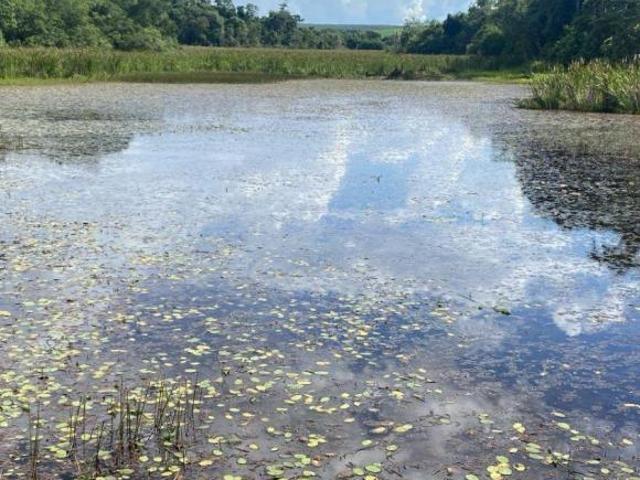 Sítio e chácara venda em Região Imediata de Itapetininga, Região Metropolitana de Sorocaba