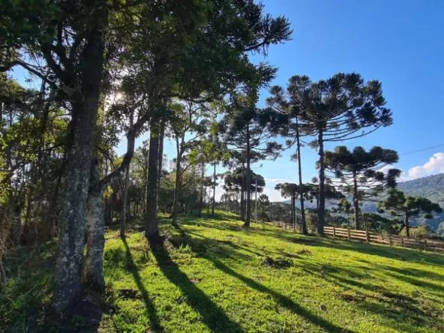 Fazenda venda em Região Geográfica Imediata de Lages, Urubici