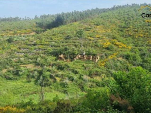 Terreno venda em Castelo Branco, Cumeada