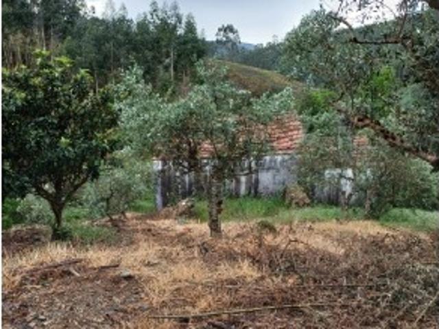 Terreno venda em Castelo Branco, Oleiros
