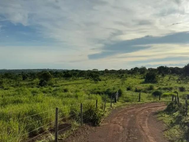 Fazenda venda em Região Geográfica Imediata de Uruaçu - Niquelândia, Uruaçu