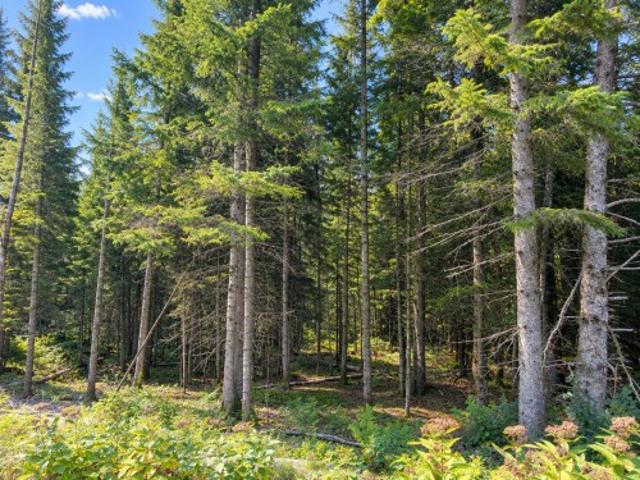 Land for sale in Laurentides, Quebec