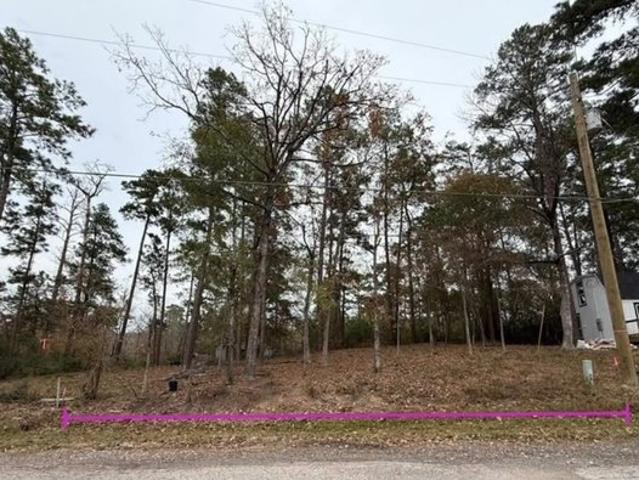 Land for sale in Onalaska, Polk County