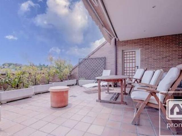 Casa en alquiler en Medina-sidonia, Madrid