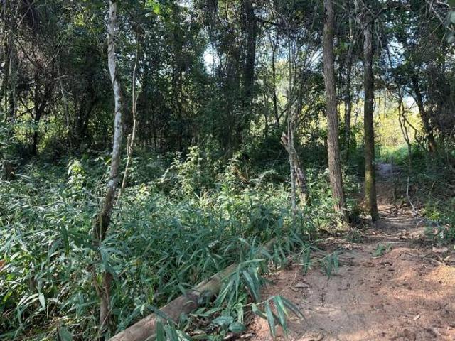 Sítio e chácara venda em Região Geográfica Imediata de Belo Horizonte, Região Metropolitana de Belo Horizonte