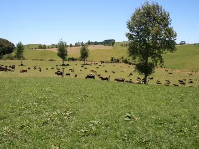 House for rent in Taranaki