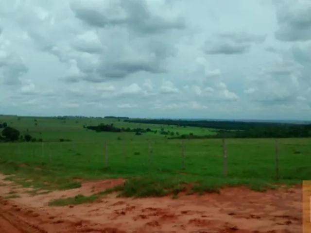 Fazenda venda em Região Imediata de Presidente Prudente, Euclides da Cunha Paulista