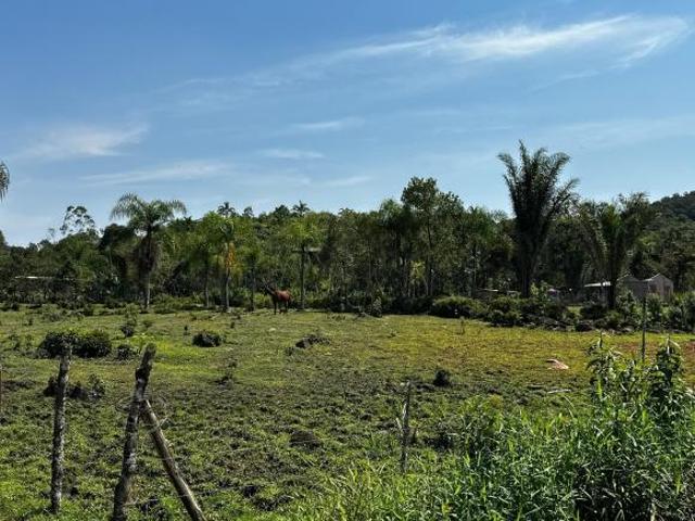 Sítio e chácara venda em Região Geográfica Imediata de Paranaguá, Antonina