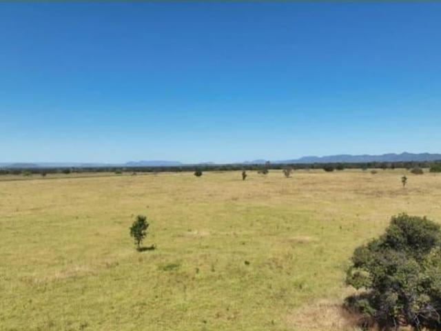 Sítio e chácara venda em Região Geográfica Imediata de Águas Lindas de Goiás, Região Integrada de Desenvolvimento do Distrito Federal e Entorno