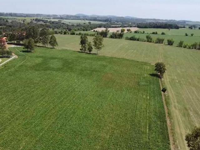 Sítio e chácara venda em Quadra