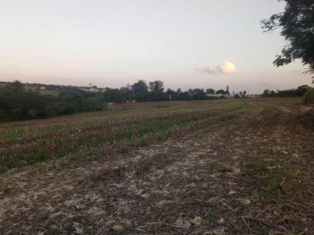 Sítio e chácara venda em Sítio Novo, Região Nordeste