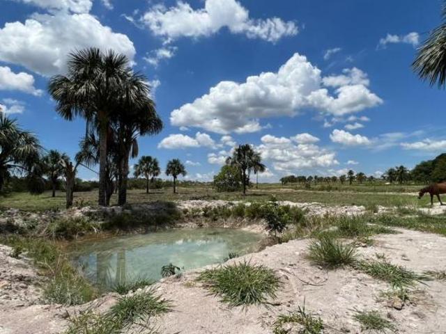 Sítio e chácara venda em Região Geográfica Imediata de Diamantino, Diamantino