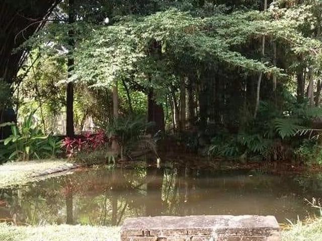 Sítio e chácara venda em Região Imediata de Taubaté-Pindamonhangaba, Região Metropolitana do Vale do Paraíba e Litoral Norte