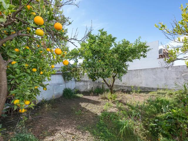 Casa en venta en Serranía de Ronda, Andalucía