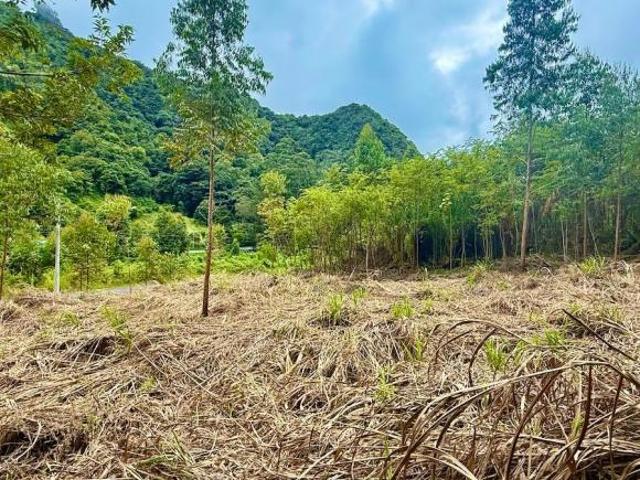 IMPRESIONANTE FINCA EN FORMA DE «L» BAMBITO