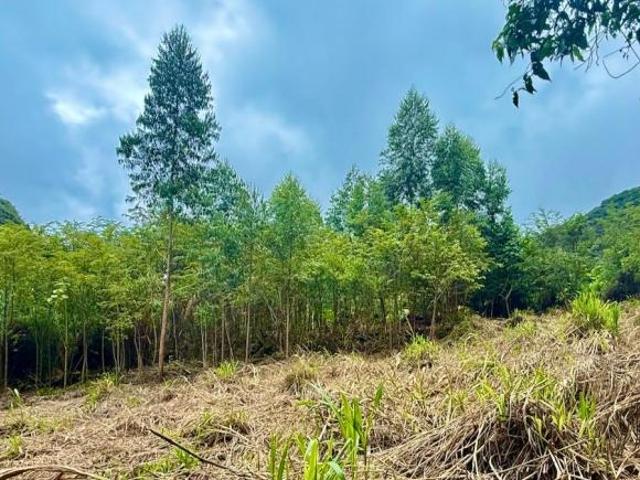 IMPRESIONANTE FINCA EN FORMA DE «L» BAMBITO