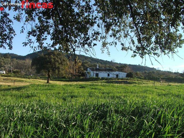 Local Comercial en venta en El Pedroso, Andalucía