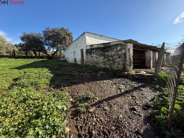 Chalet en venta en El Pedroso, Andalucía