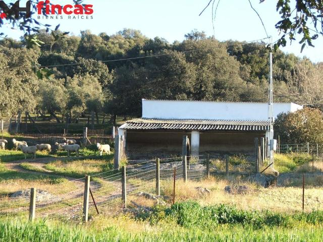 Chalet en venta en El Pedroso, Andalucía