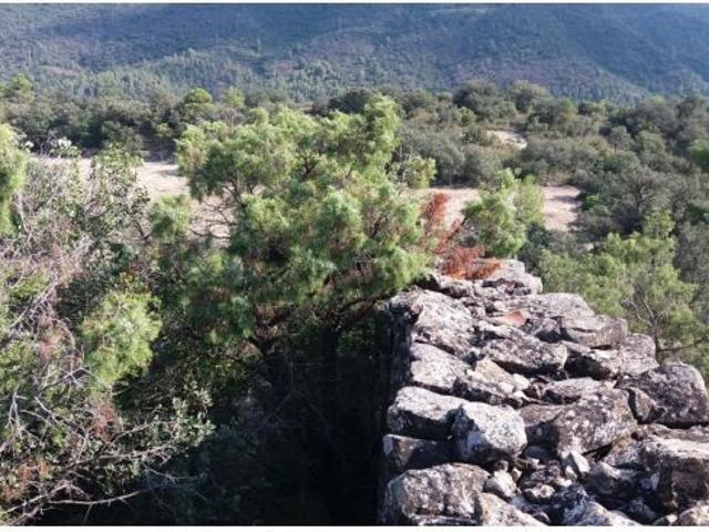 Local Comercial en venta en Noguera, Catalunya