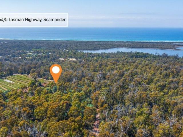 Land for sale in Scamander, Tasmania