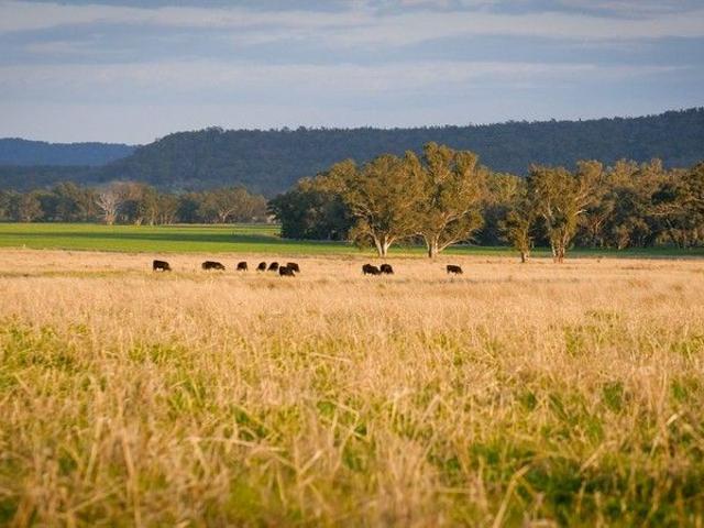 Cottage for sale in Dunedoo, New South Wales