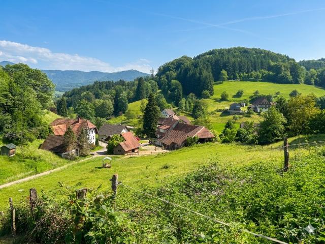 Erdgeschosswohnung mieten in Elzach, Baden-Württemberg