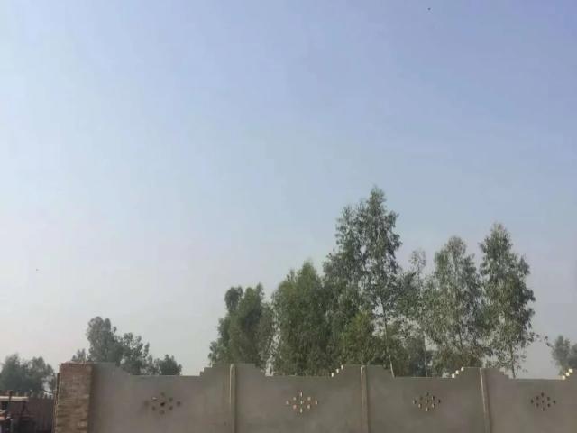Land for sale in رسول پور, لاہور ڈویژن