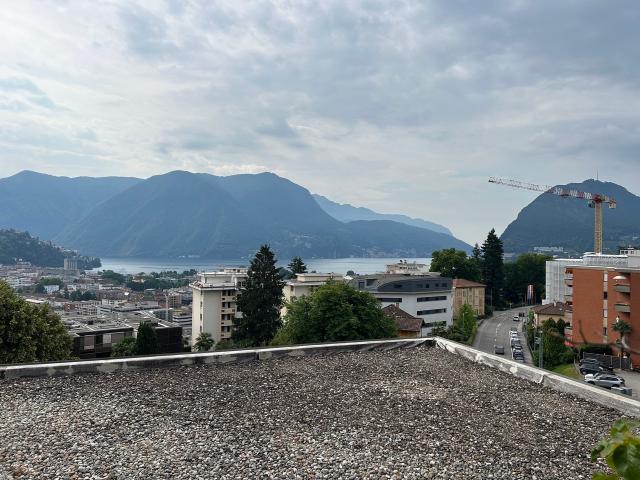 Wohnung mieten in Massagno, Tessin