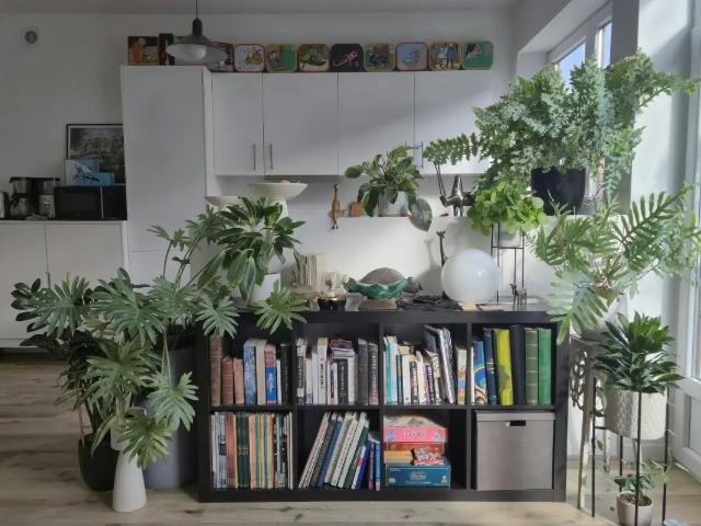 Appartement location à Brussel, Bruxelles