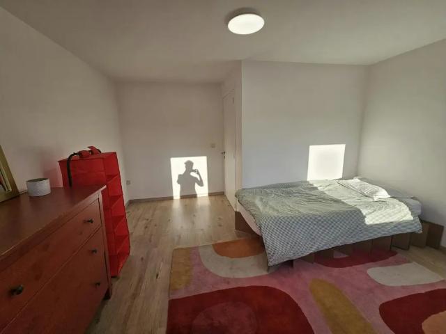 Maison location à Oud-heverlee, Brabant
