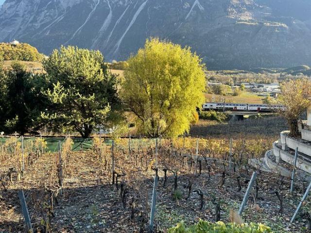 Immobilie kaufen in Salgesch, Wallis