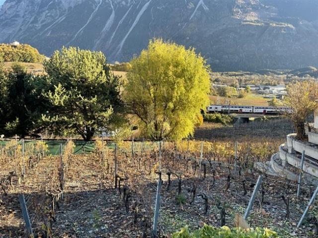 Grundstück kaufen in Salgesch, Wallis