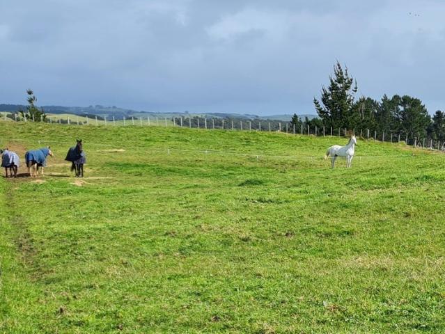 Land for sale in Kawau Island, Oroua County