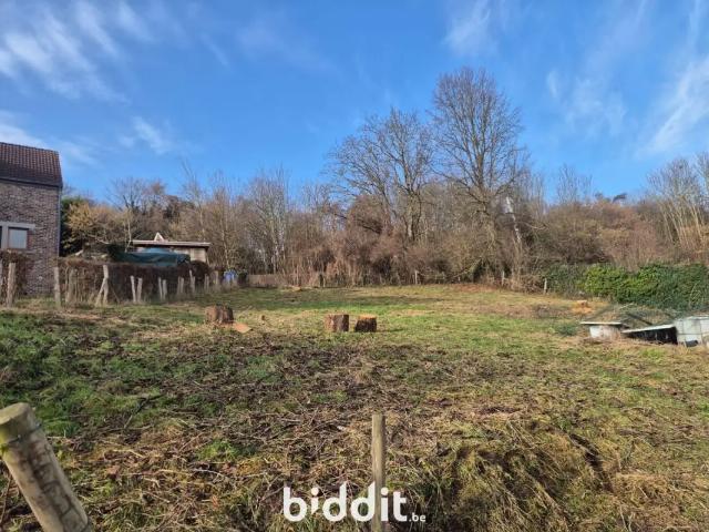 Maison vente à Bassenge, Wallonie